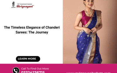 The Timeless Elegance of Chanderi Sarees: The Journey